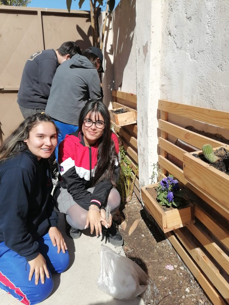 alumnas trabajando en el huerto