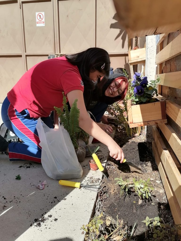 alumnas trabajando en huerto